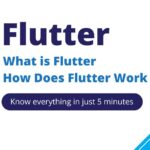 What is Flutter? Why Use Flutter? How Does Flutter Work ?